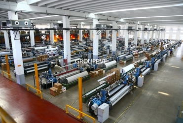 CHINA Sichuan Groupeve Co., Ltd. Perfil de la empresa