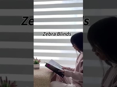 La cebra 100% del poliéster ciega el rollo 50 M/Roll de la tela para el rollo encima de la cortina